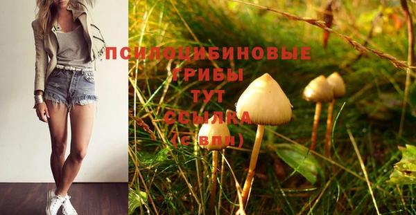 гидропоника Алексин