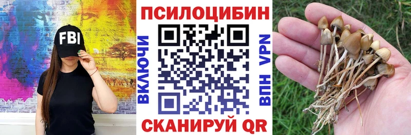 Псилоцибиновые грибы GOLDEN TEACHER  Вихоревка 